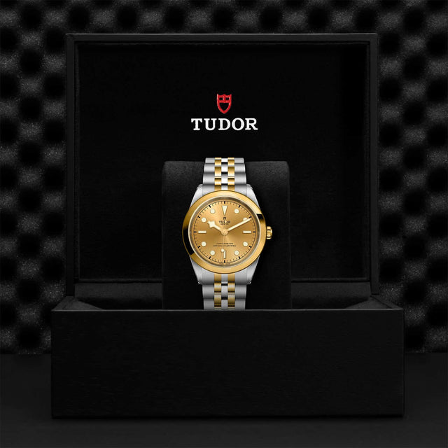 Tudor Watch Assets M79683 0005 Presentation Box