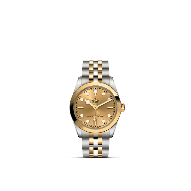 Tudor Watch AssetsM79603 0005 Upright Transparent Background