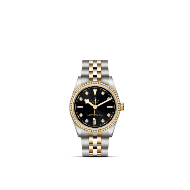 Tudor Watch AssetsM79613 0005 Upright Transparent Background