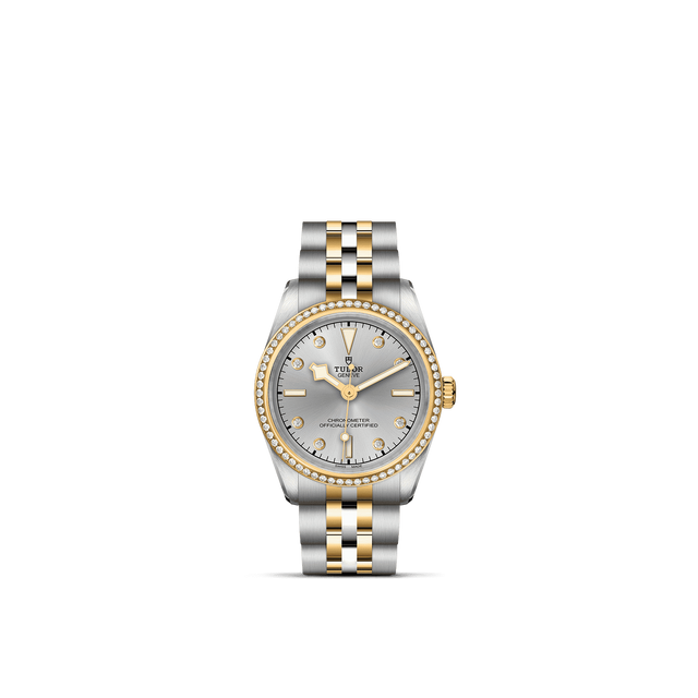 Tudor Watch AssetsM79613 0006 Upright Transparent Background