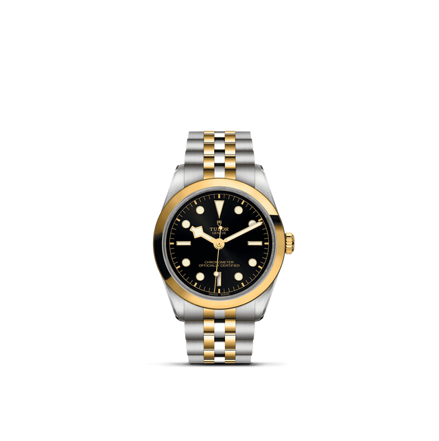 Tudor Watch AssetsM79643 0001 Upright Transparent Background