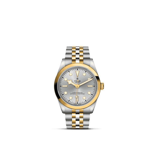 Tudor Watch AssetsM79643 0002 Upright Transparent Background