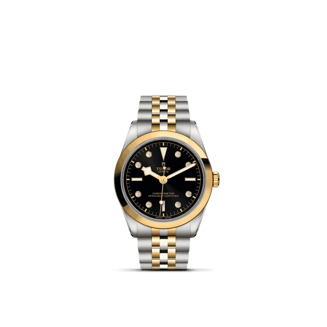 Tudor Watch AssetsM79643 0006 Upright Transparent Background