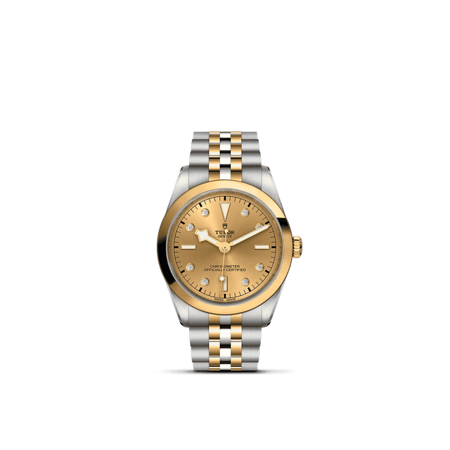 Tudor Watch AssetsM79643 0008 Upright Transparent Background