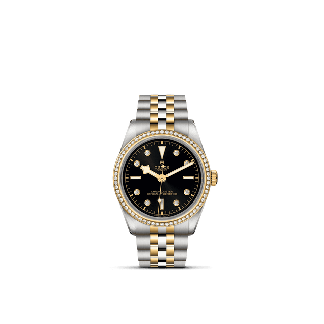 Tudor Watch AssetsM79653 0005 Upright Transparent Background