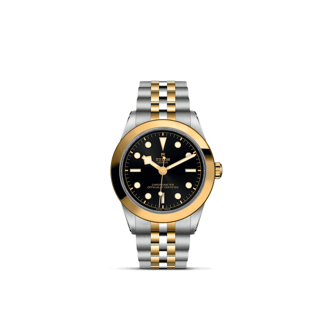 Tudor Watch AssetsM79663 0001 Upright Transparent Background