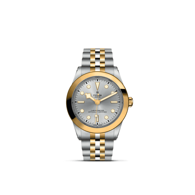 Tudor Watch AssetsM79663 0002 Upright Transparent Background