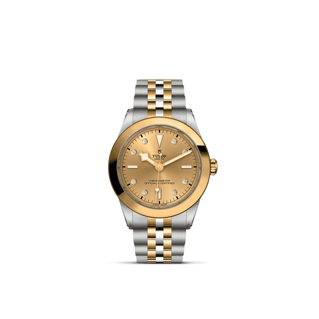 Tudor Watch AssetsM79663 0008 Upright Transparent Background