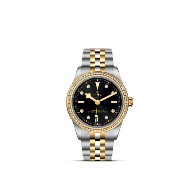 Tudor Watch AssetsM79673 0005 Upright Transparent Background