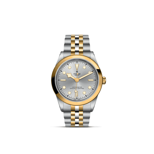 Tudor Watch AssetsM79683 0002 Upright Transparent Background