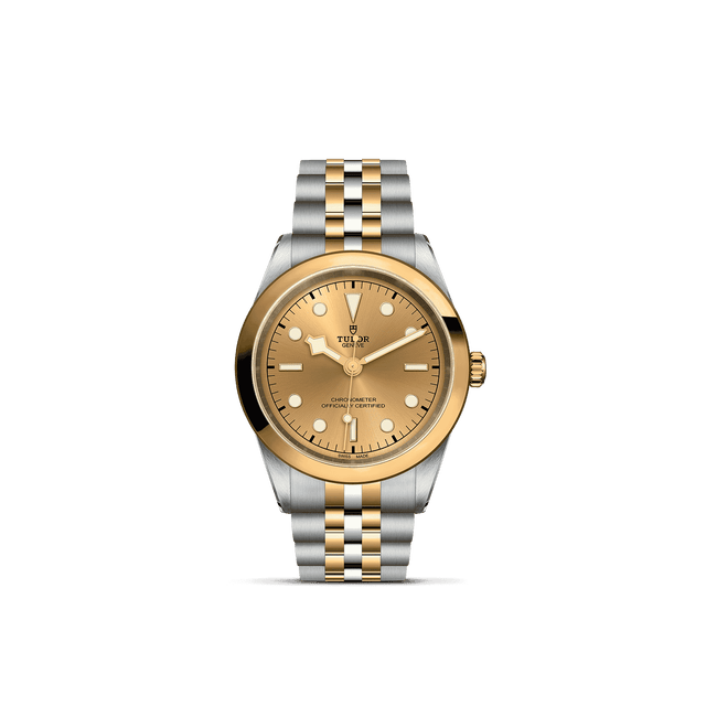 Tudor Watch AssetsM79683 0005 Upright Transparent Background