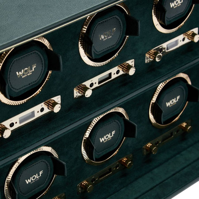 Wolf British Racing Green 6Pc Watch Winder