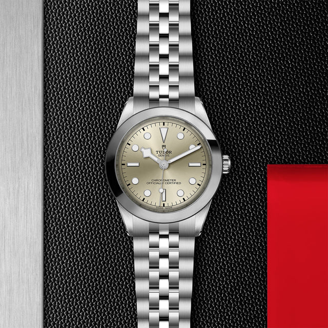 tudor m79660 0003 in store flat lay